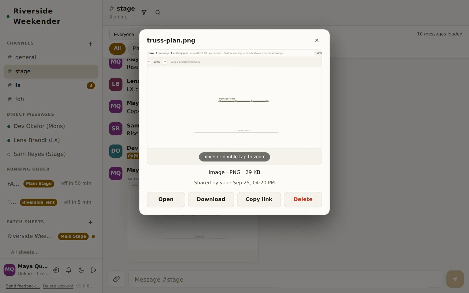 File details for a photo: preview, type and size, who shared it and when, and Open, Download, Copy link and Delete