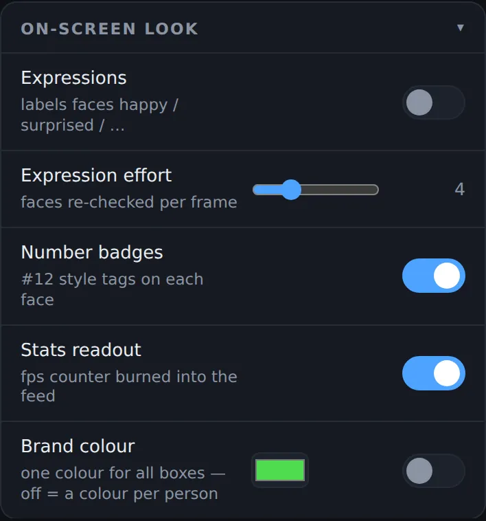 The On-screen look card: Expressions off, Expression effort 4, Number badges on, Stats readout on, Brand colour off with a green swatch